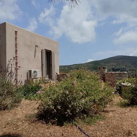 Oxalis Περλεγκιάνικα