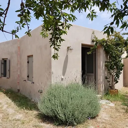 Oxalis Villa