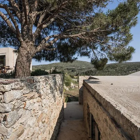 Oxalis Villa