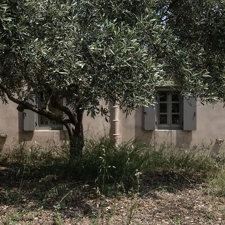 Oxalis Villa *